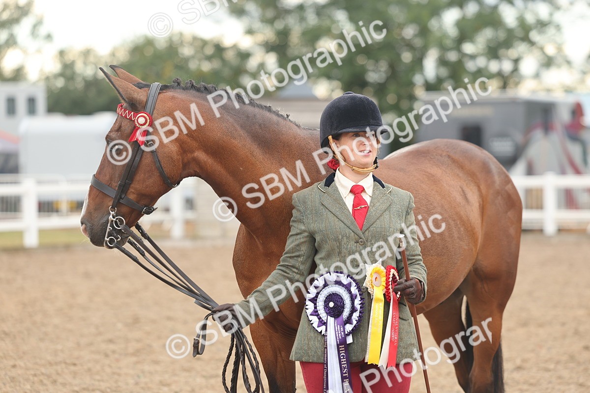 SBM_07845 - Class 27 - IH Competition Horse/Pony