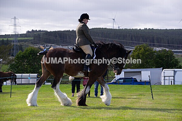 DSC_0239 - Ring 1