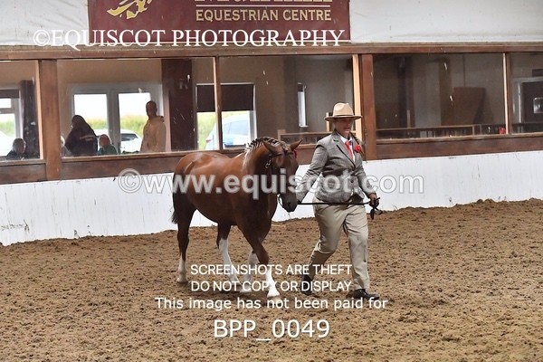 BPP_0049 - RING 1