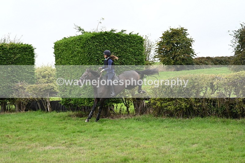 WJ7_9005 - Time 13:31 to 14:00