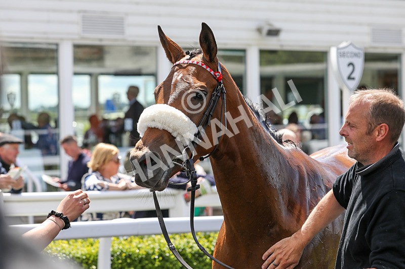 080624-Race 1-Rapido Girl-4563 - Race 1