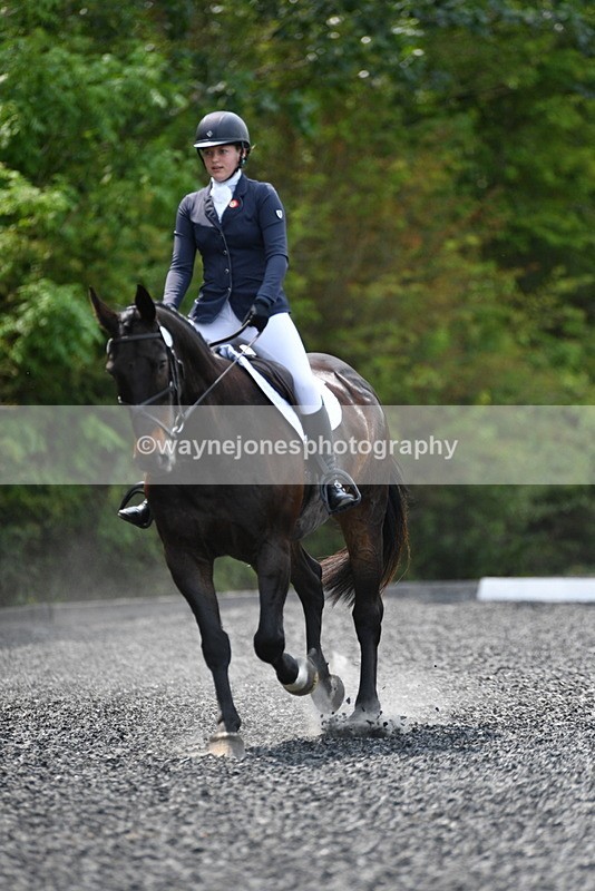 WJ5_0027 - Time 11:47 to 12:21