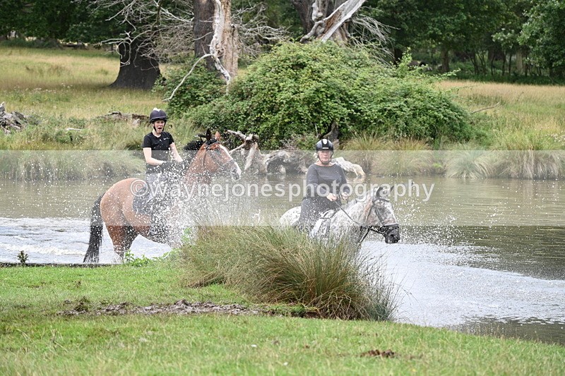 WJ7_2786 - Time at Water 11:37 to 12:13