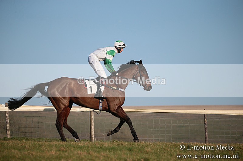 PtP 230219 498 - Vine & Craven Point-To-Point - Barbury 23/02/19