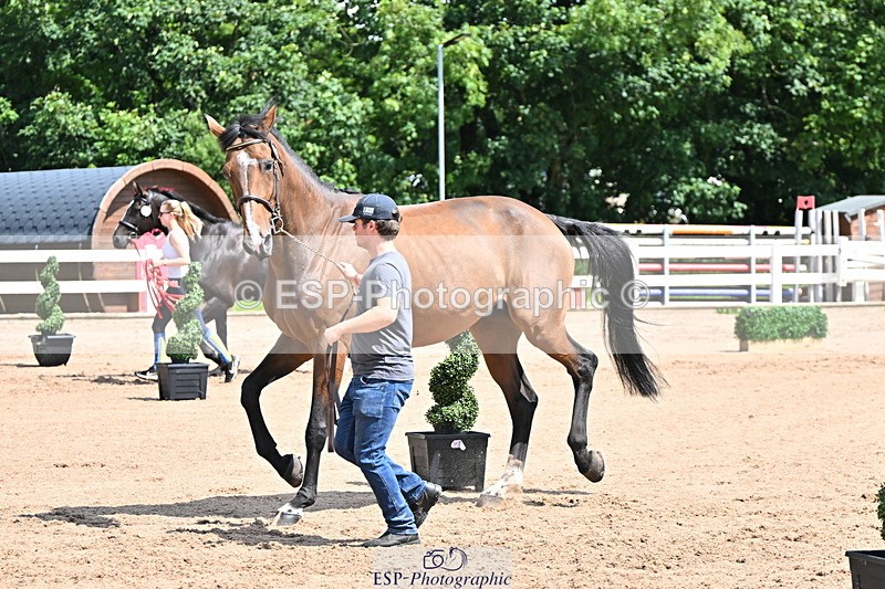 240718A-105243-01063 - Trot Up 11am to 12pm