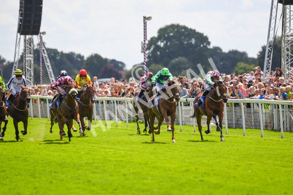 290723-Race 1-Soul Seeker-0248 - Race 1 2.05pm Sky Bet 'Jump Jockeys' Nunthorpe' Handicap