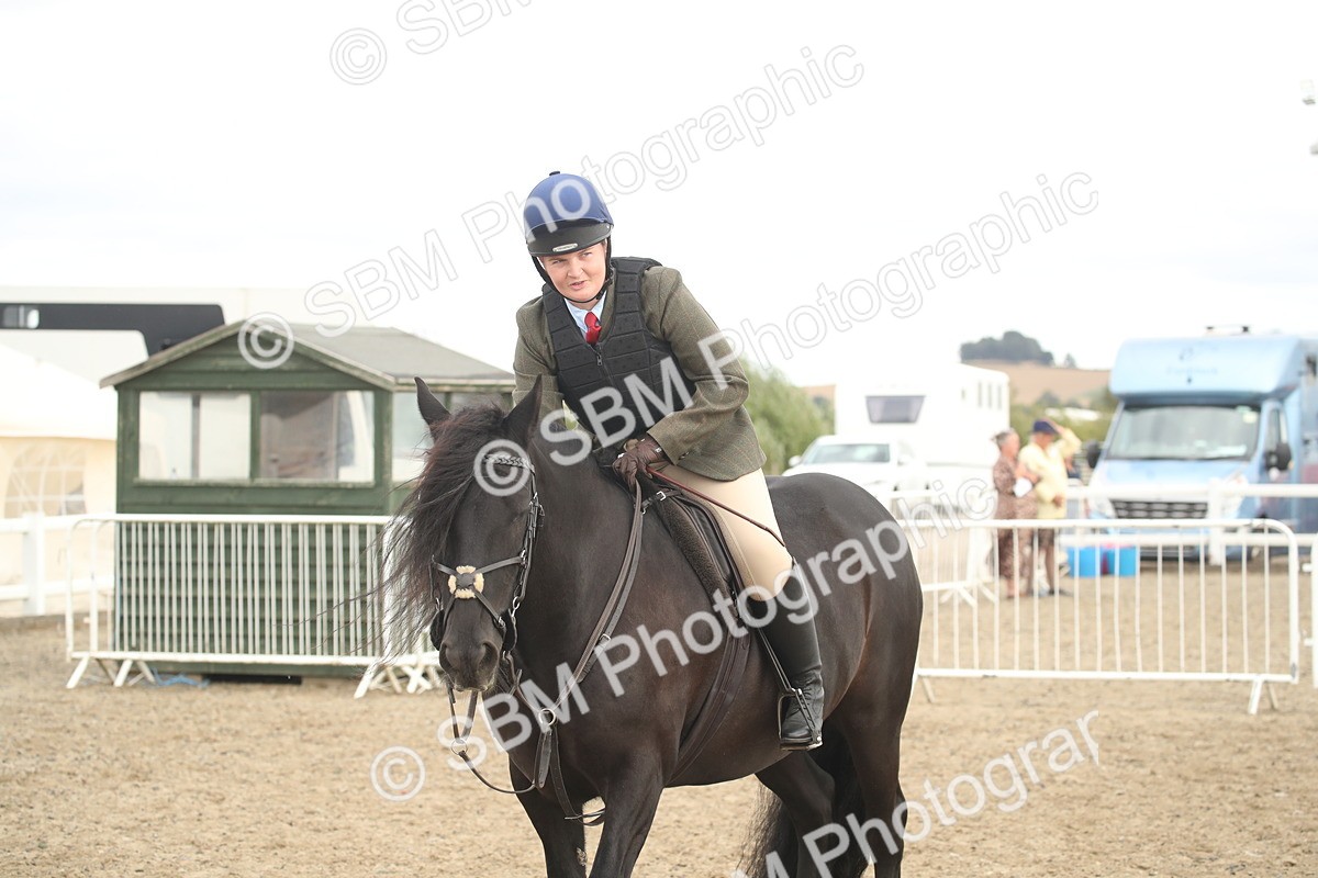 SBM_17728 - Class 508a - Working Veteran 70cm (15-19)