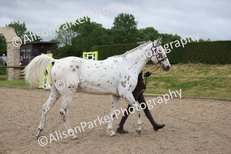 20250524-0106 - Class 2 - Youngstock