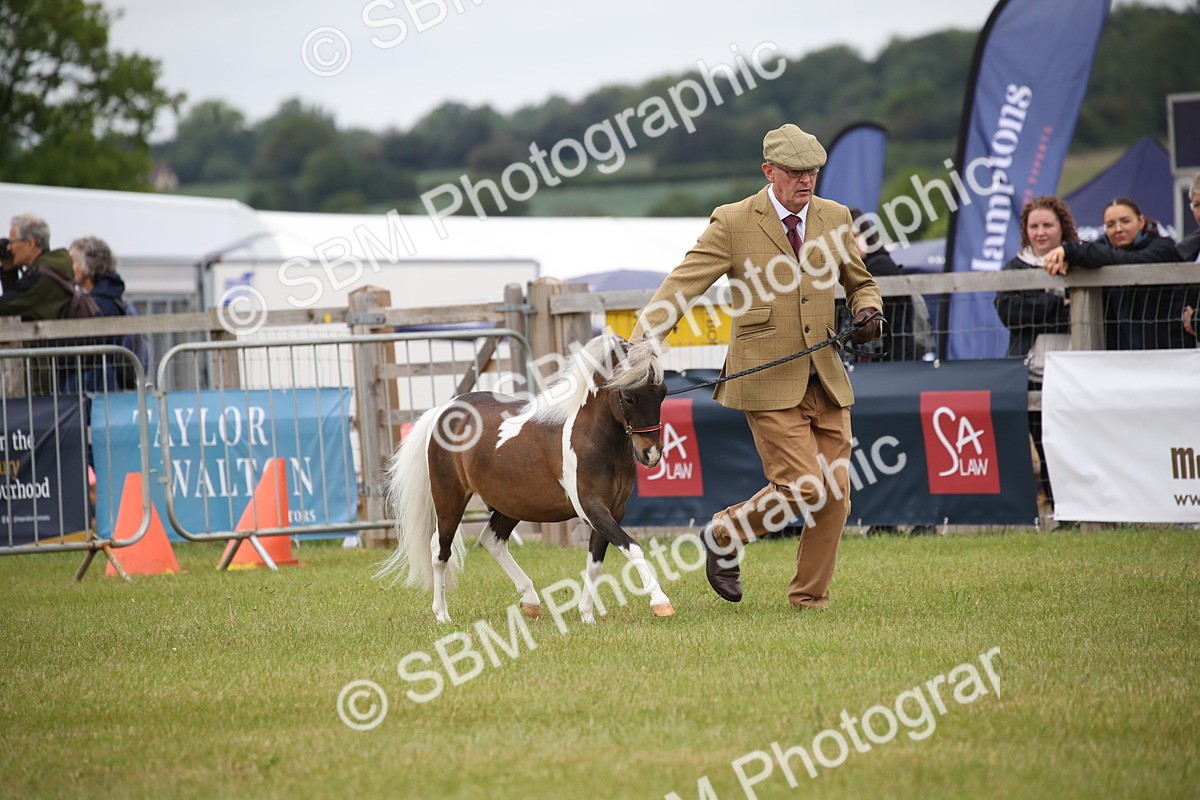 SBM_03910 - Class 23-25 - British Miniature Horse of the Year