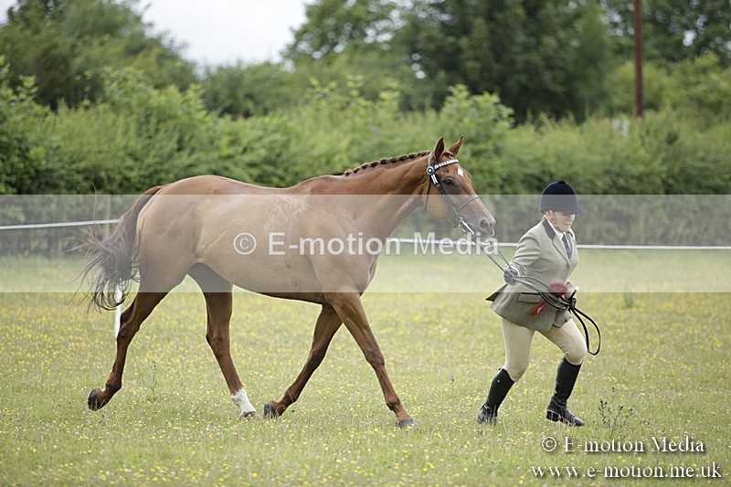 BVR160717-1093 - In Hand Championship 16/07/17