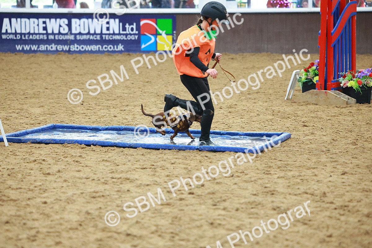 SBM_002214 - Class 3 - Horse & Hound (60cm)