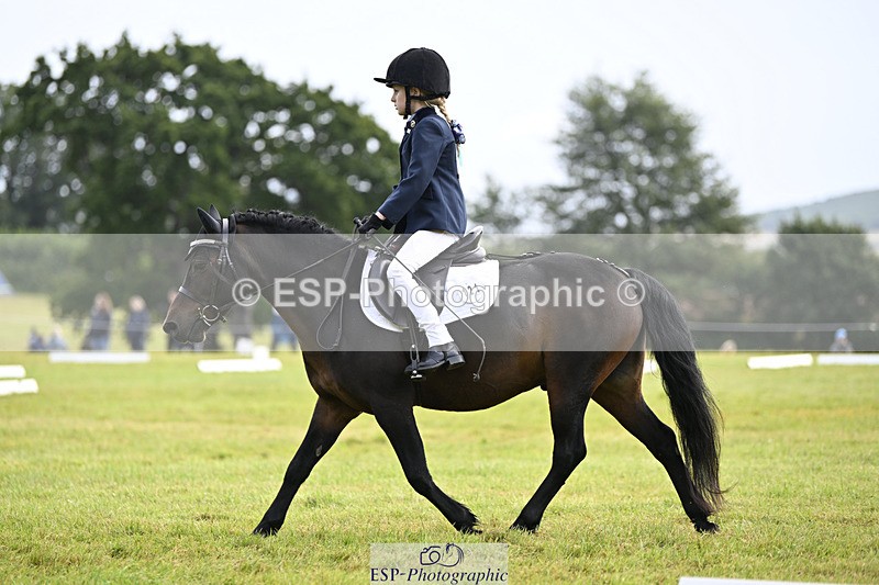 240824X-110505-25710 - D80 Section E and F 11.00 to 12.00