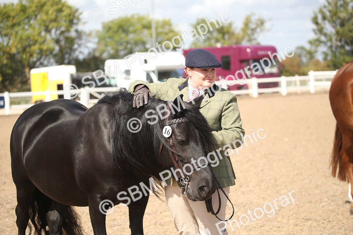 SBM_23143 - Class 606 - 2026 - Area - IH Pre Vet