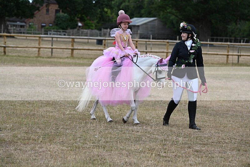 WJ6_8622 - Class 11 Fancy Dress