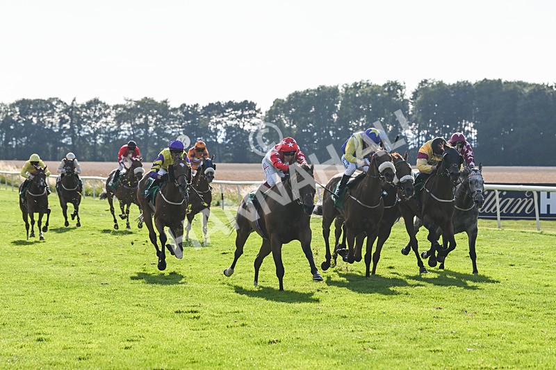 020825-Race 8-Dandy Dinmont-3887 - Race 8