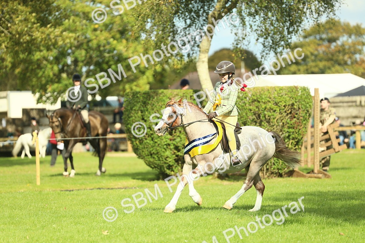 SBM_45036 - Working Hunter Pony Supreme Championship