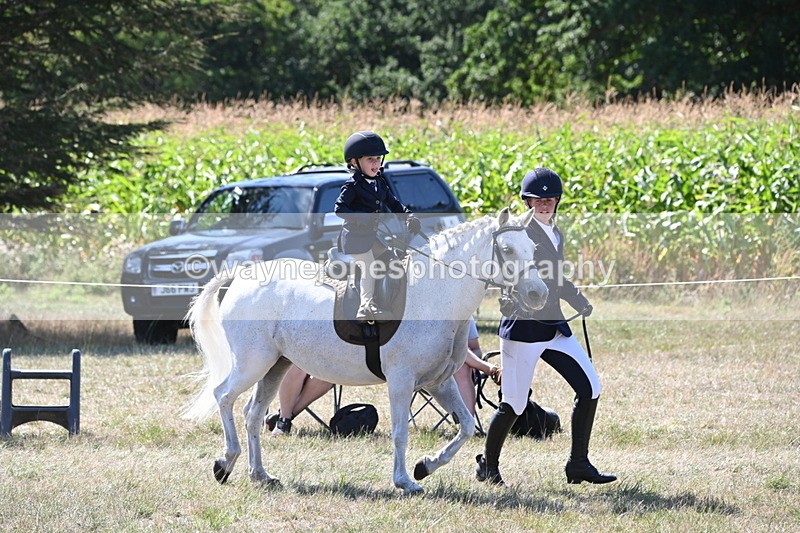 WJ6_7989 - Class 36 Lead Rein