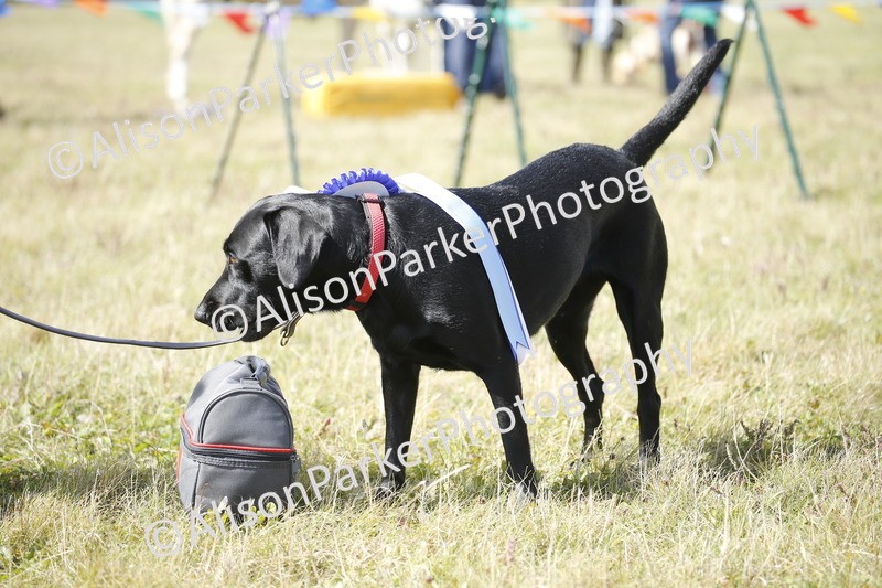 20250831-3740 - Dog Show