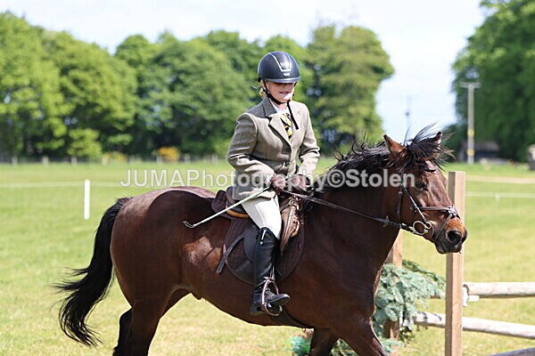 IMG_4279 - Working Hunter