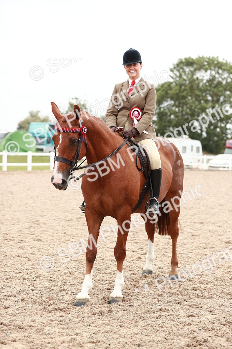 SBM_17631 - Class 215 Ridden Hack/ Riding Horse