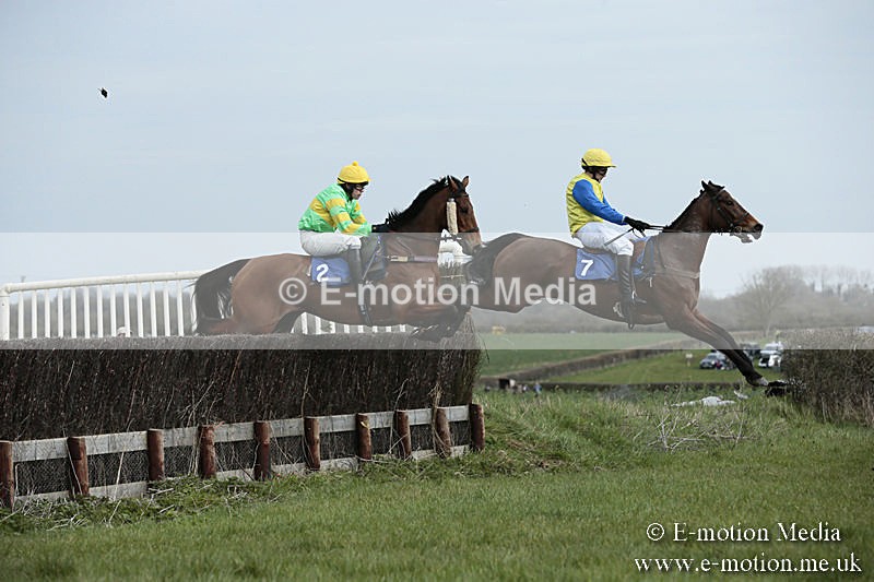 PtP 230319 19 - VWH Hunt Siddington Point-to-Point Racing 23/03/19