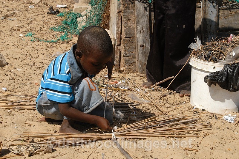 Senegal Fulani Senegal village boy making basket - Senegal Fulani Village