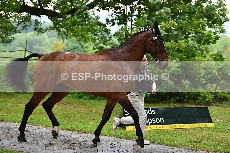 240522-162338-00885 - 204-ZADOK_D-Charlie_Piper