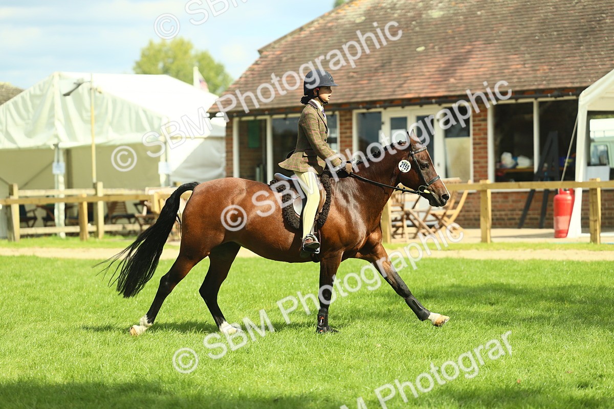 SBM_44589 - S31 - Working Hunter Pony