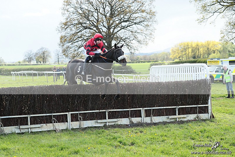 PtP 180426 1159 - Worcestershire Hunt PtP Chaddesley Corbett 18/04/26