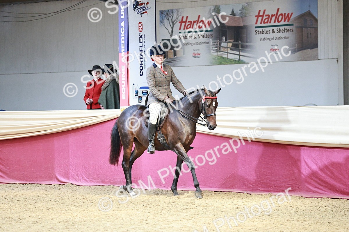 SBM_06950 - Class 10R - Regional Ridden Diamond