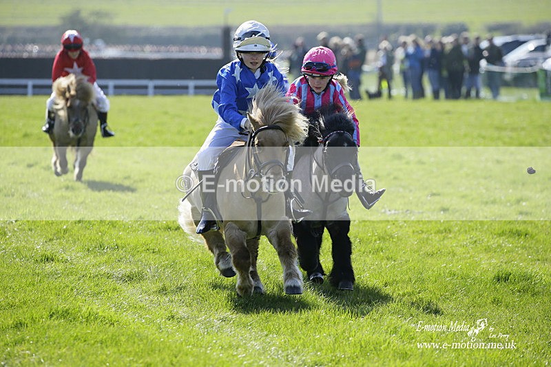 PtP 190322 10 - Wilton Hunt PtP Milborne St Andrew 19/03/22