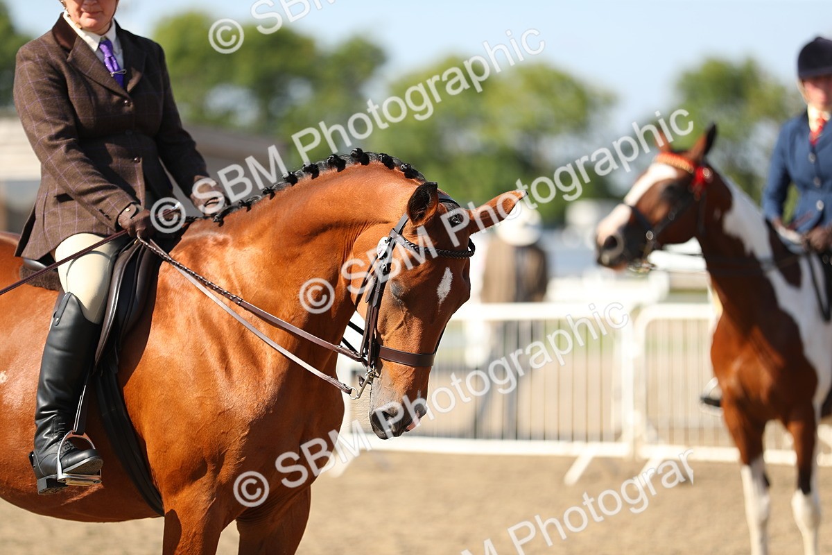 SBM_02265 - Class 43 Ridden Competition Horse/Pony