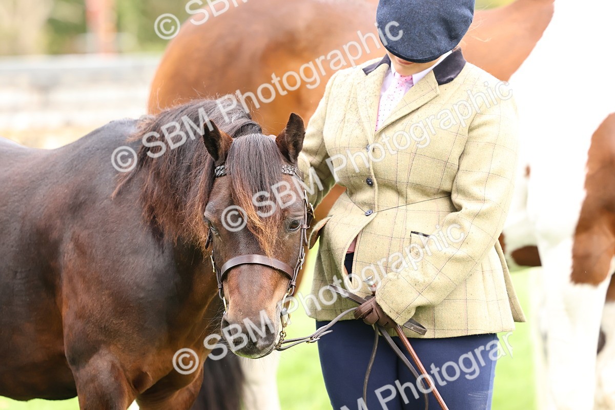 SBM_39357 - S24 - Young Veteran In Hand