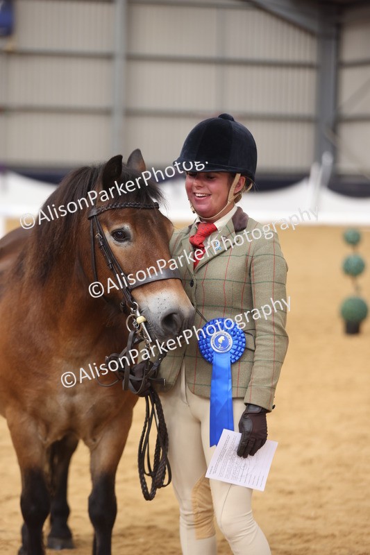 20260913-1736 - Class 115 - Gelding 4years and over