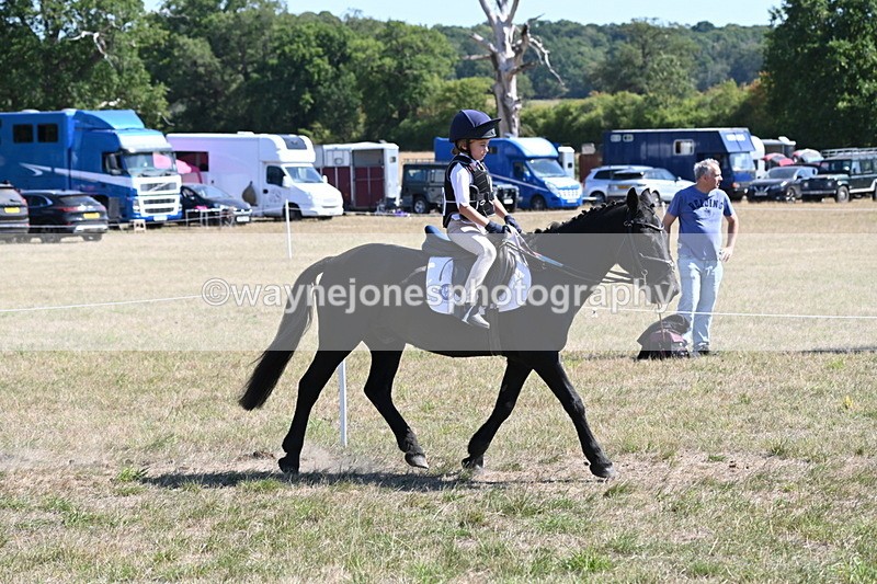 WJ6_8382 - Class 37a Best Loan Pony Ridden