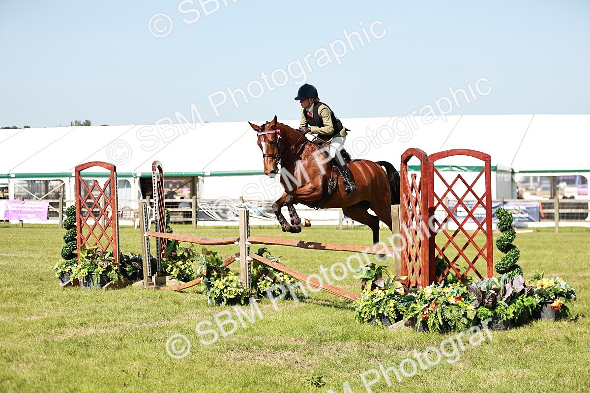 SBM_18818 - Class 114 - RIHS & SEIB Open Working Show Horse