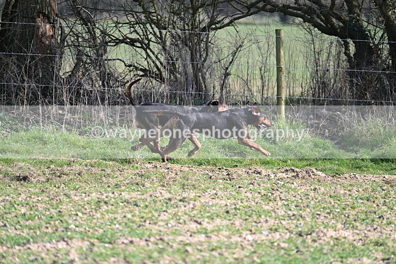 WJ7_5704 - Camera A