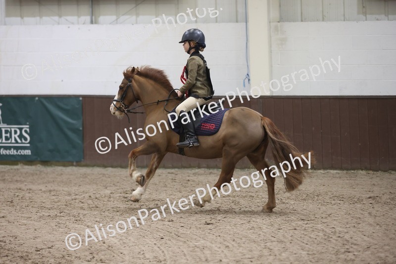 20260125-1750 - Class 2 - 50cm