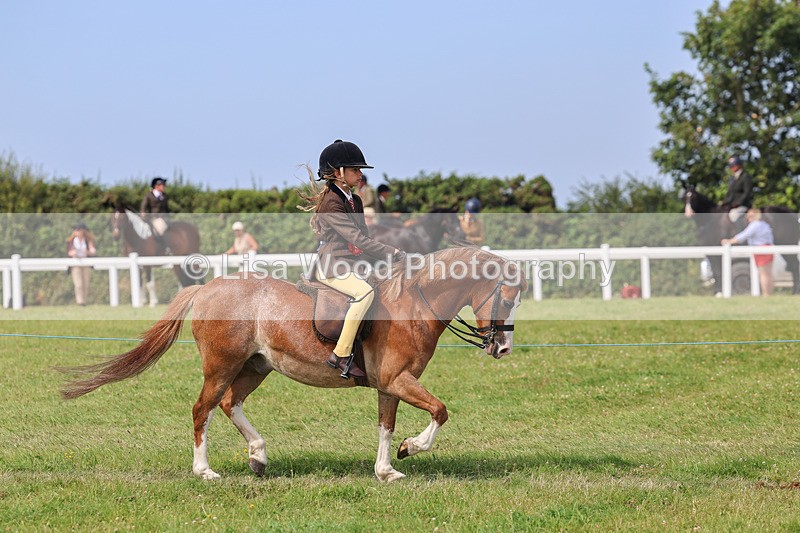IMG_3700 - M & M Ridden Championship