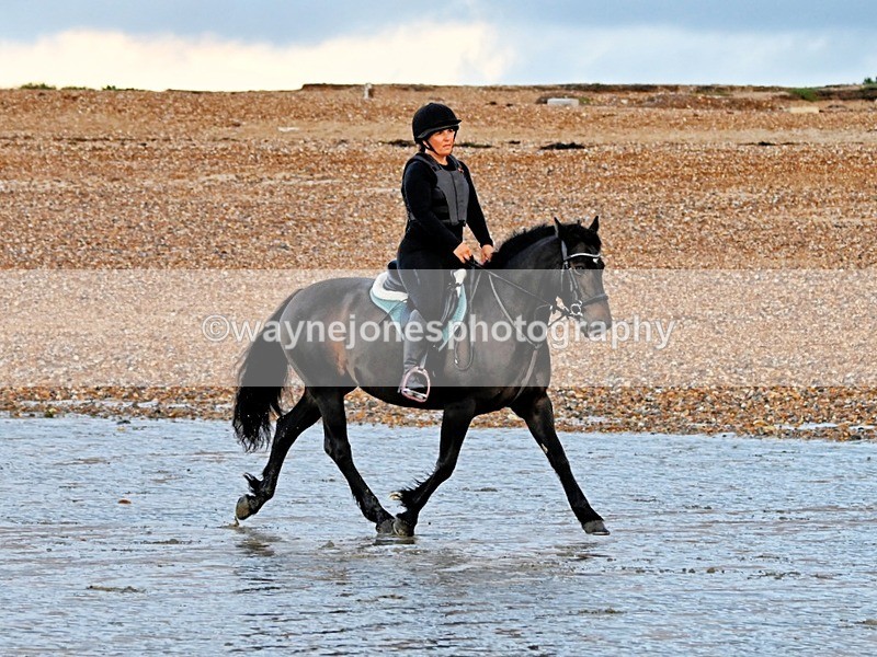 WJ6_4690 - Edited Examples