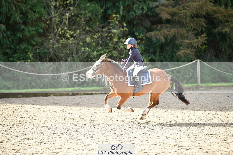 251004A-115159-00790 - Classes 4 & 5 50cm