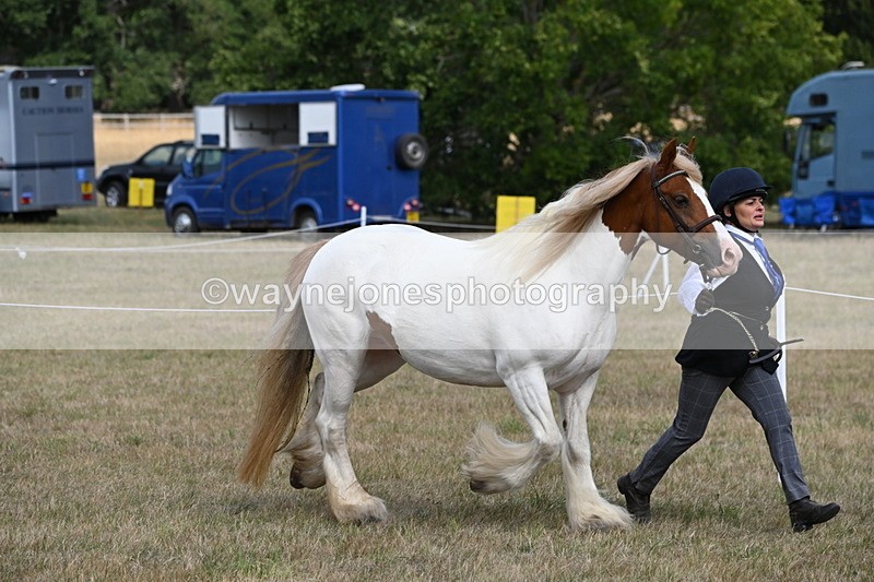 WJ6_6534 - Class 20 In-hand Cob