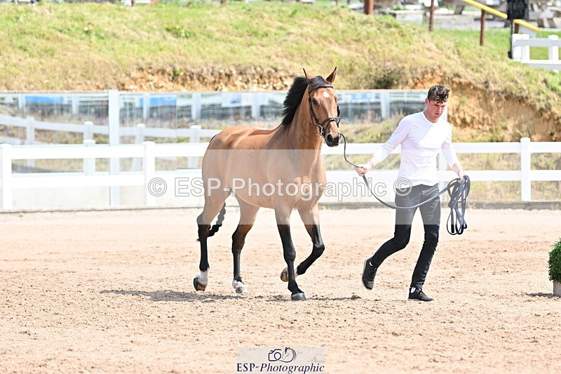 240717A-151643-02706 - Trot Up 3pm to 4pm