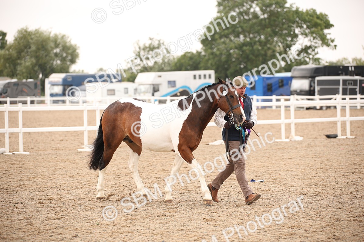 SBM_22188 - Class 707 - Ridden Groom-Helpers Class