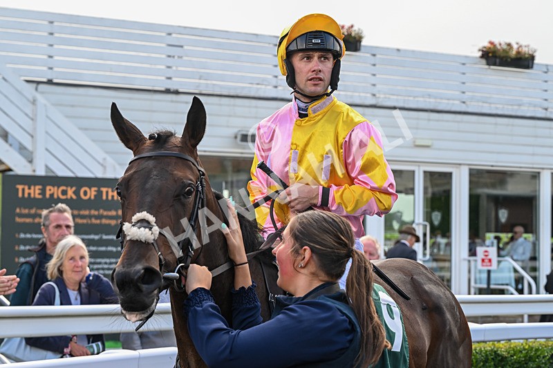 080926-Race 3-Battenburg Belle-2367 - Race 3 3.03pm Fifth Regiment Royal Artillery Handicap (Div I)