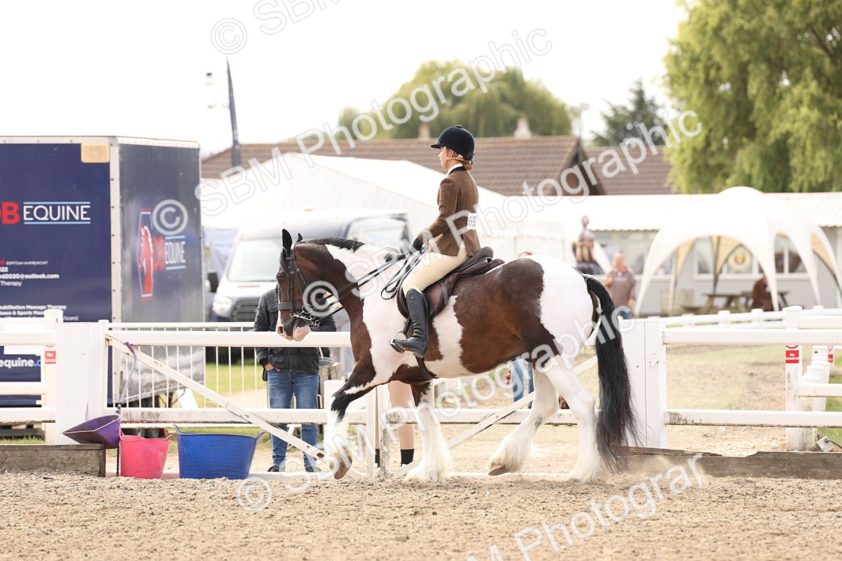 SBM_04271 - Class 54 - Riding Club Horse/Pony