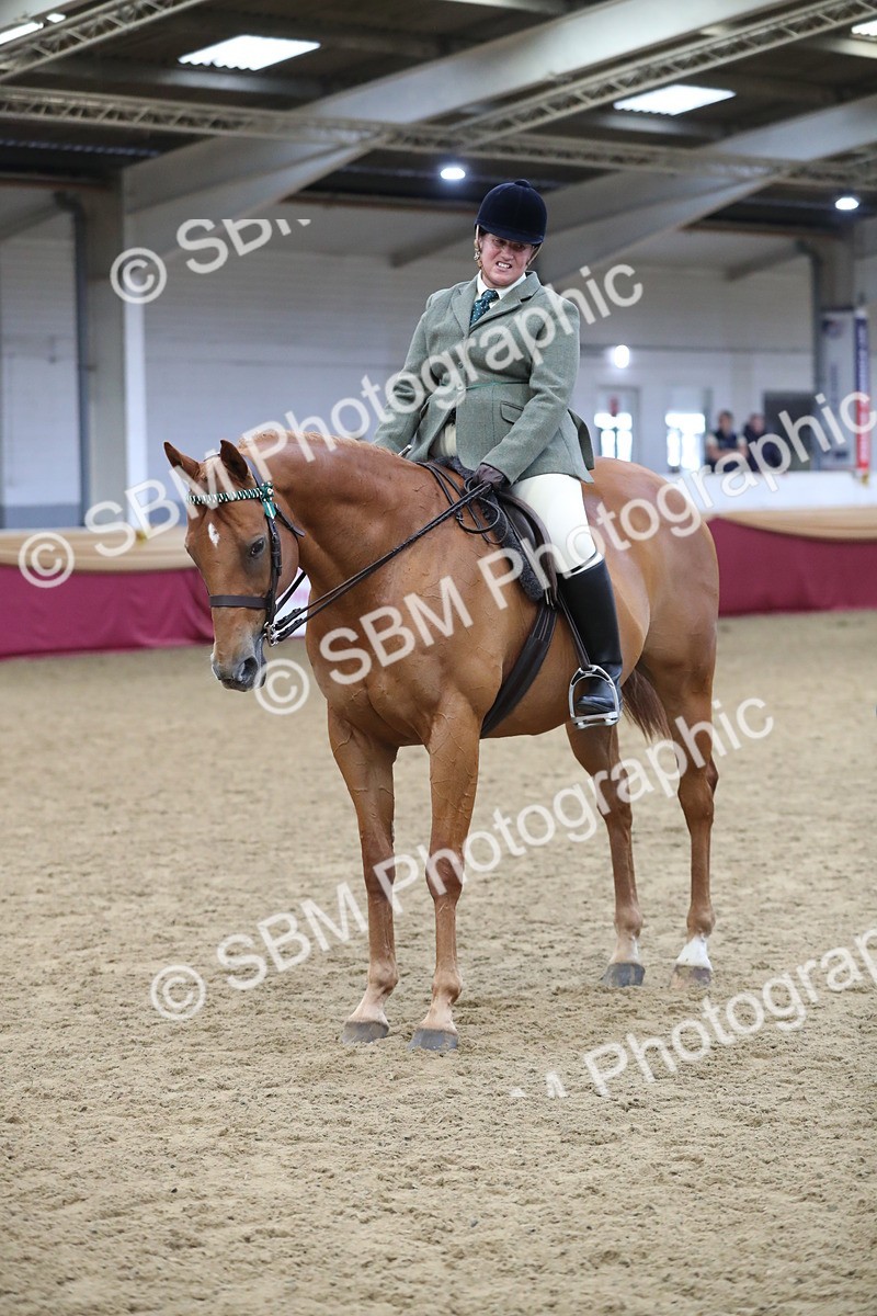 SBM_12364 - Class 108 Ridden Retired Racehorse- Pre Judging