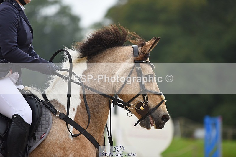 231001-125642-02569 - Cls 2 80cm 12.20 to End