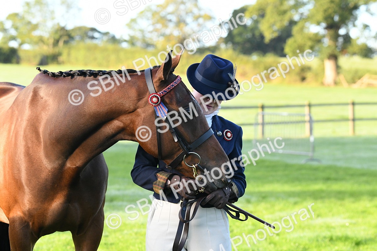 SBM_32650 - S15 - Condition & Turnout In Hand
