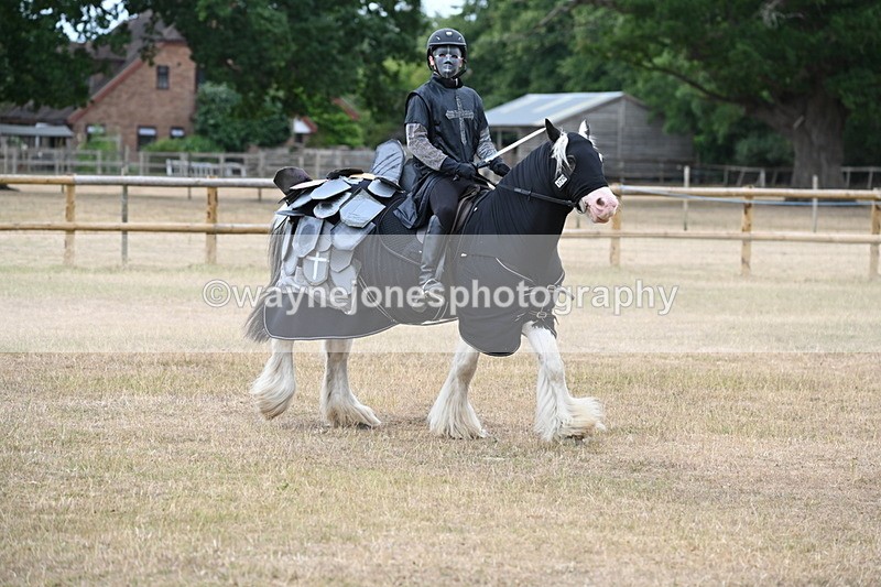 WJ6_8854 - Class 11 Fancy Dress